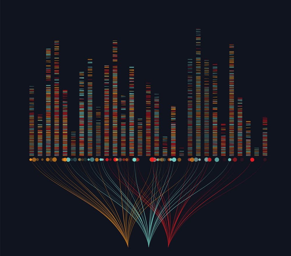 memory management background